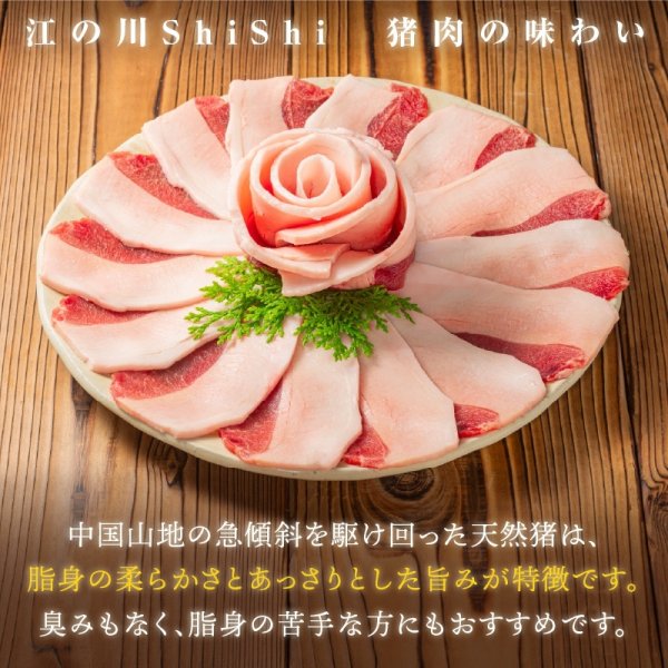 画像1: 天然猪脂多め500ｇ追加オプション (1)